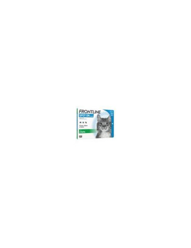 Frontline Spot-On Chat – 6 Pipettes Antiparasitaires Contre Puces et Tiques