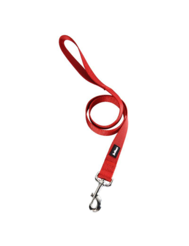 Laisse en Nylon Résistante pour Chien - 120 cm, 10 mm