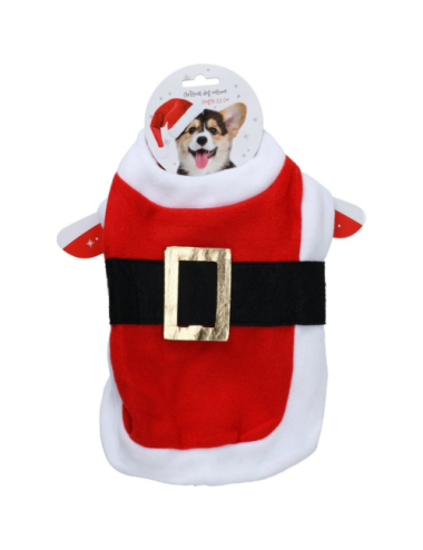 Tenue de Noël