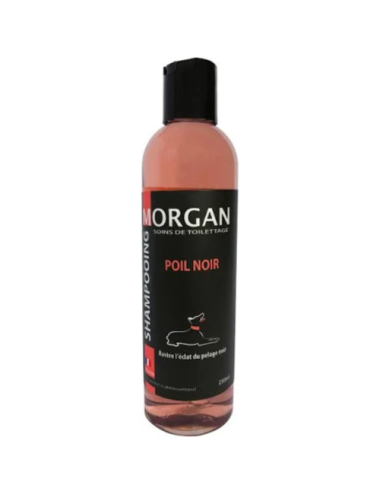 Shampooing poil Noir 250ml