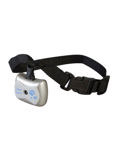 Caméra pour Chien - Vidéo & Audio HD - Collier Intégré