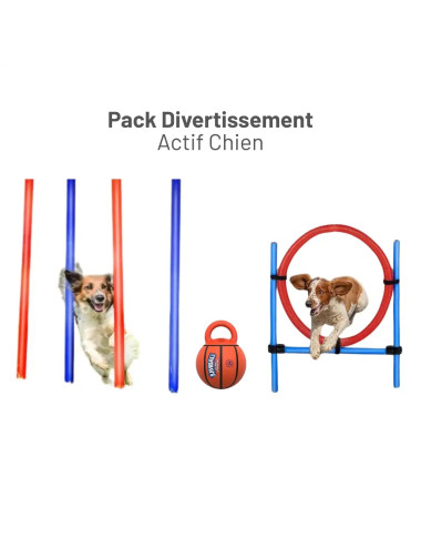 Pack Divertissement Actif Chien