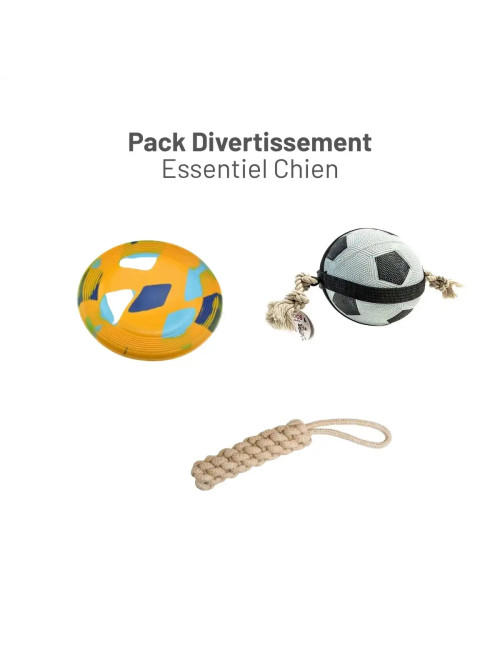 Pack Divertissement Essentiel Chien – Coffret Cadeau Animal | Zoopiz