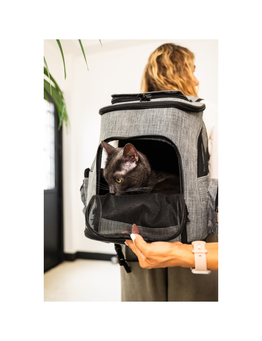 Sac de Transport pour Chien et Chat – Confort et Sécurité