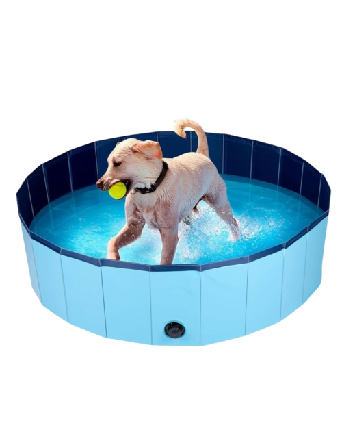 Piscine pliable pour chien antidérapante – Tailles S/M/L