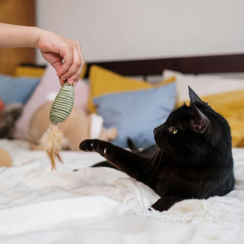 Jeu et enrichissement