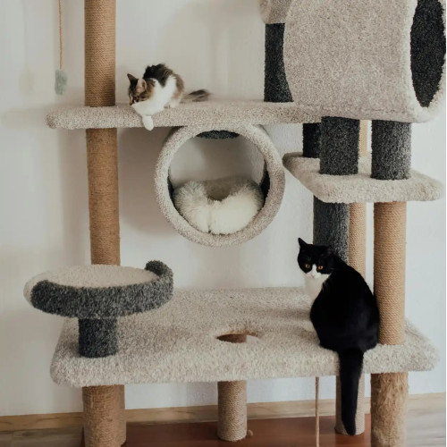 Mobilier et griffoirs Chat
