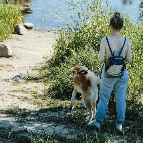 Promenade